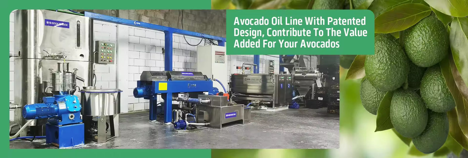 Máquina de aceite de aguacate