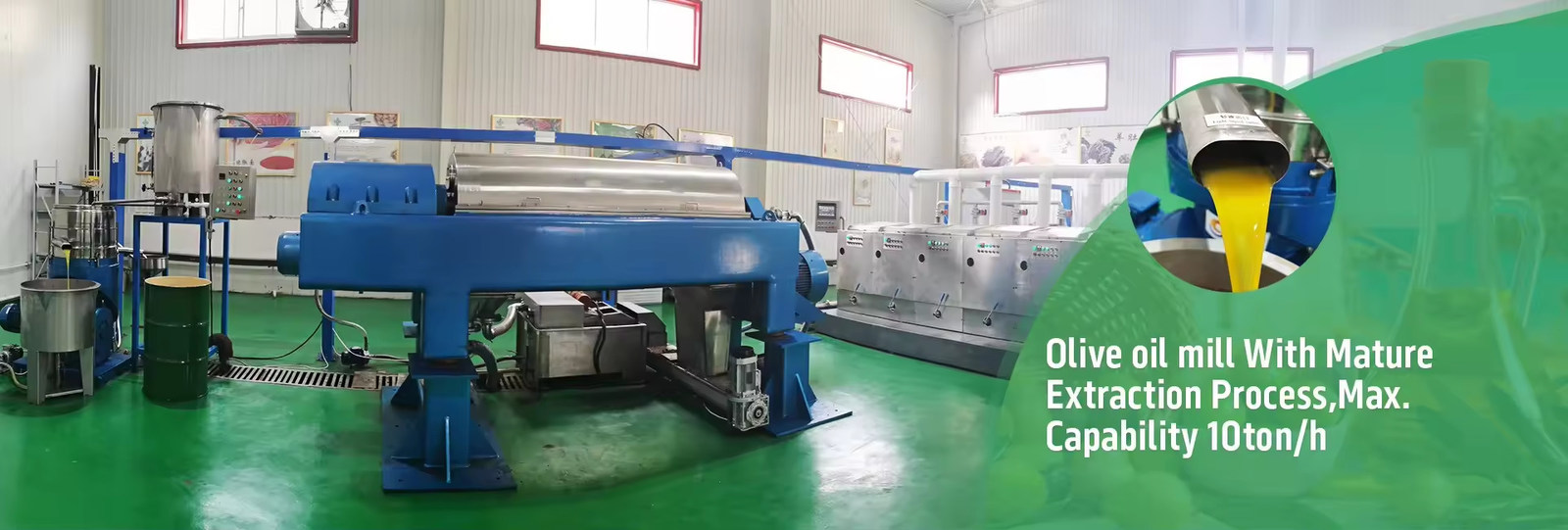 Máquina de aceite de aguacate