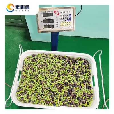 Máquina de extracción por centrifugadora para la línea de extracción de aceite de oliva EVOO-250 de 250 kg/h