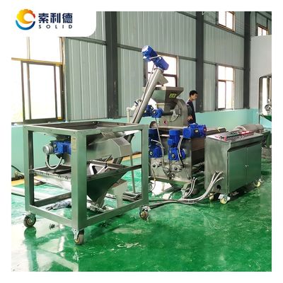 Producción 22kw Potencia de la instalación EVOO-250 Línea de extracción de aceite de oliva para 3500 KG/H de producción