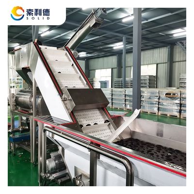 Máquina de prensado de aceite de aguacate virgen extra 5000 kg/h por método de extracción por centrifugadora