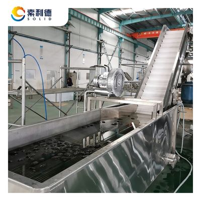 SUS304 Línea de producción de aceite de aguacate prensado en frío de tecnología avanzada CPAO-2000 2T/H