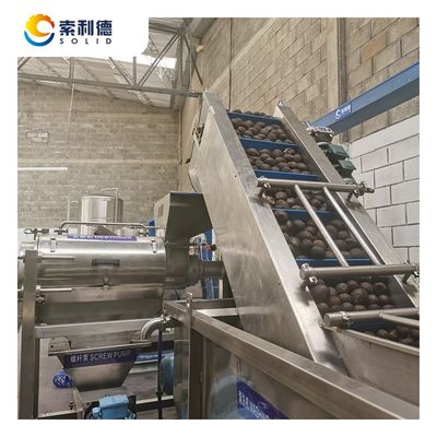500 kg/h Línea de extracción de aceite de aguacate prensada en frío con máquina de extracción por centrifugadora