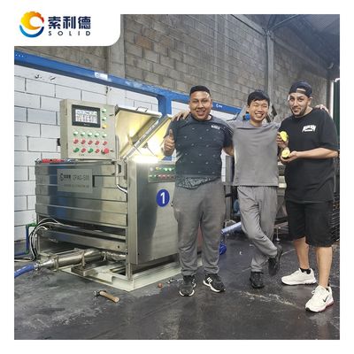 500 kg/h Línea de extracción de aceite de aguacate prensada en frío con máquina de extracción por centrifugadora