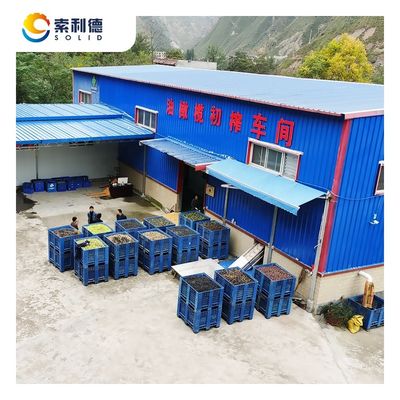 Capacidad máxima 2000 kg/h Máquina de prensado en frío de aceite de oliva por extracción en centrifugadora de 2 fases