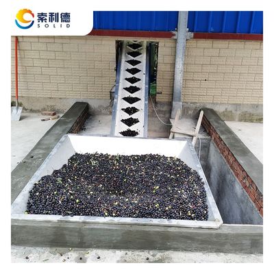 Extractor de aceite de oliva de 5 toneladas por hora, con una potencia de 130 kW e instalación de una centrifugadora decantadora de 3 fases