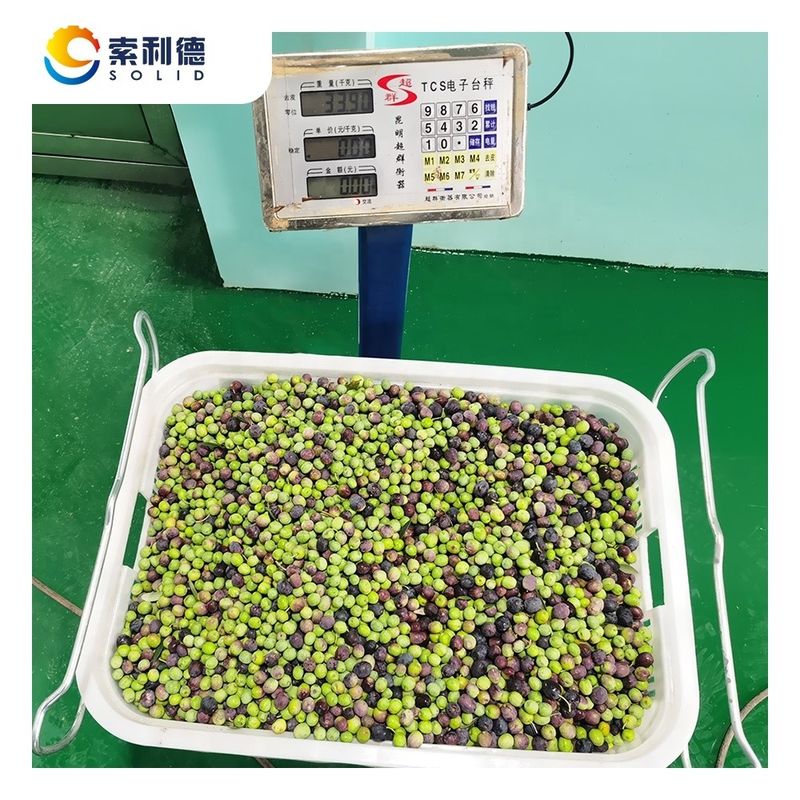 Máquina de extracción de aceite de oliva EVOO-500 con separación de 2 fases