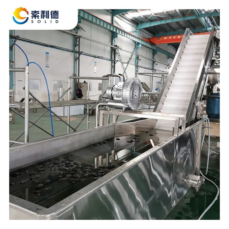 SUS304 Línea de producción de aceite de aguacate prensado en frío de tecnología avanzada CPAO-2000 2T/H