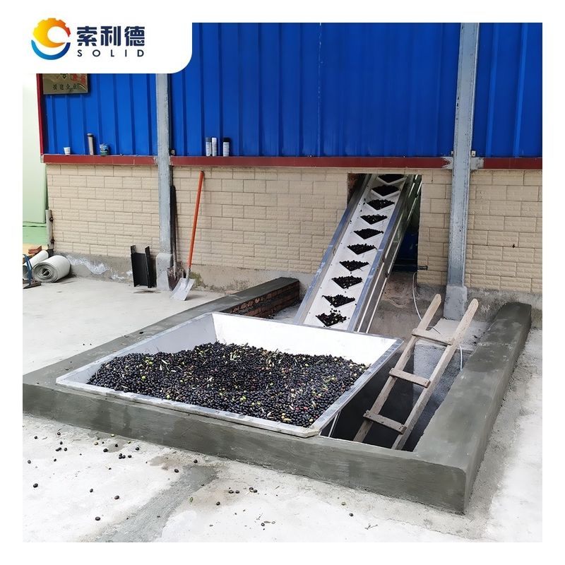 Máquina de extracción por centrifugadora de alto rendimiento para el procesamiento de aceite de oliva virgen extra de 3-4TPH